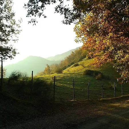 Orsaiola Alojamento de Turismo Rural