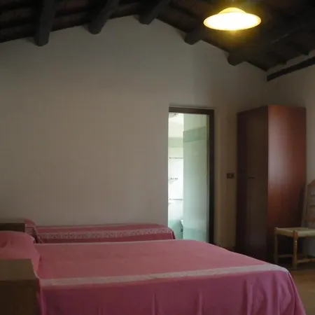 Orsaiola