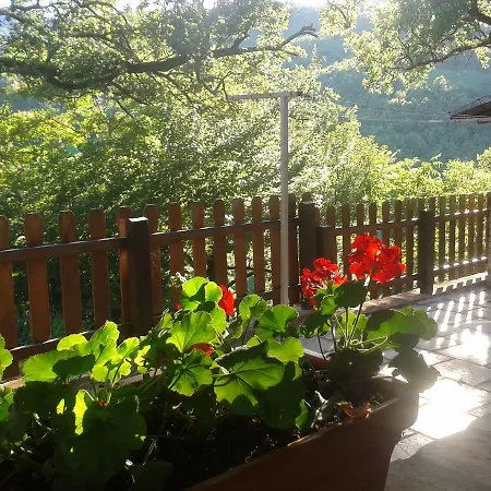 Farm stay Agriturismo Orsaiola